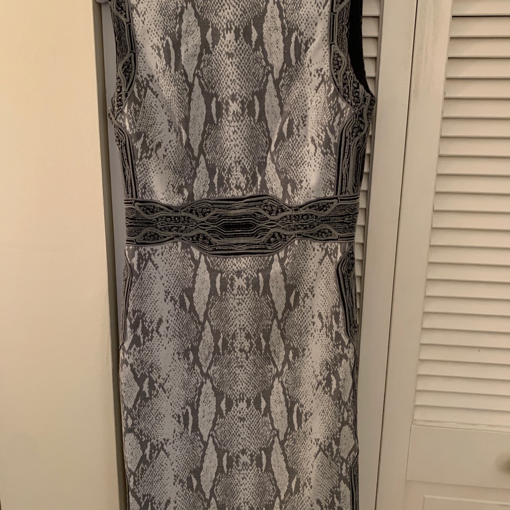 Dian Von Furstenberg Python Snake Print Dress - image 2